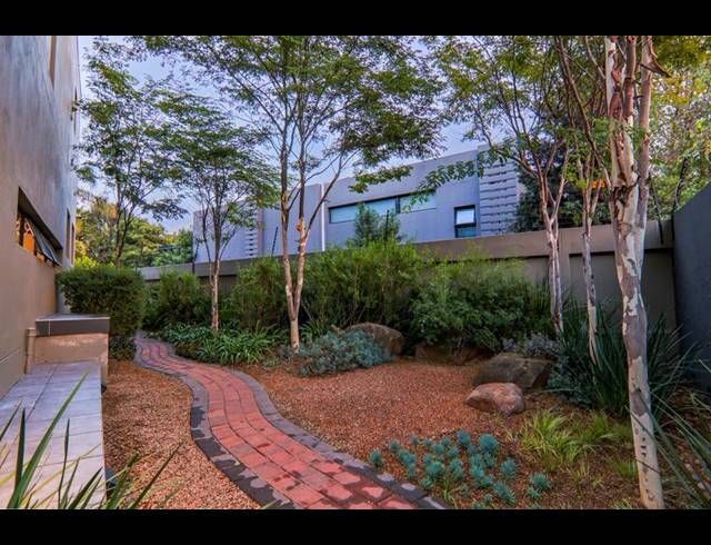 4 BEDROOM PROPERTY TO RENT IN MORNINGSIDE